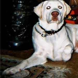 Meet your Posher, Randy